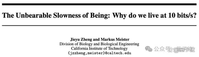 人类一生所学不过4GB，加州理工顶刊新研究引热议