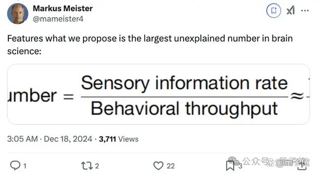 人类一生所学不过4GB，加州理工顶刊新研究引热议