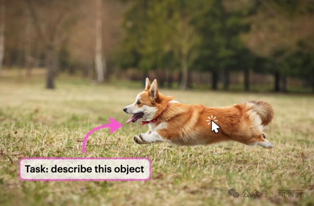 英伟达华人硬核AI神器，「描述一切」秒变细节狂魔，仅3B逆袭GPT-4o