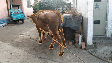 英伟达华人硬核AI神器，「描述一切」秒变细节狂魔，仅3B逆袭GPT-4o