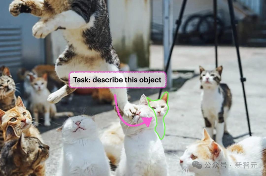 英伟达华人硬核AI神器，「描述一切」秒变细节狂魔，仅3B逆袭GPT-4o
