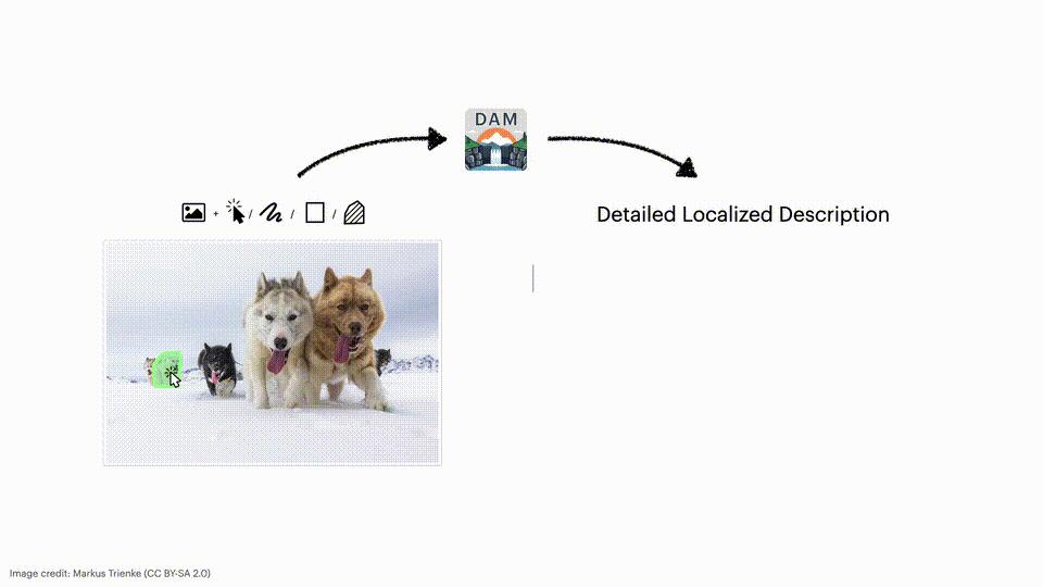 英伟达华人硬核AI神器，「描述一切」秒变细节狂魔，仅3B逆袭GPT-4o