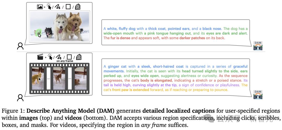 英伟达华人硬核AI神器，「描述一切」秒变细节狂魔，仅3B逆袭GPT-4o