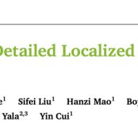 英伟达华人硬核AI神器，「描述一切」秒变细节狂魔，仅3B逆袭GPT-4o