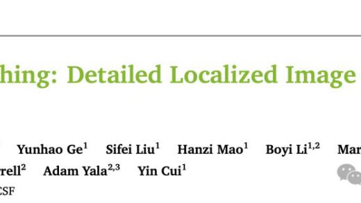 英伟达华人硬核AI神器，「描述一切」秒变细节狂魔，仅3B逆袭GPT-4o