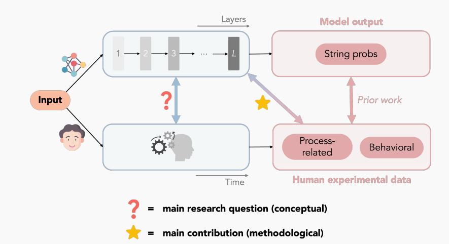 哈佛新论文揭示 Transformer 模型与人脑“同步纠结”全过程，AI也会犹豫、反悔？