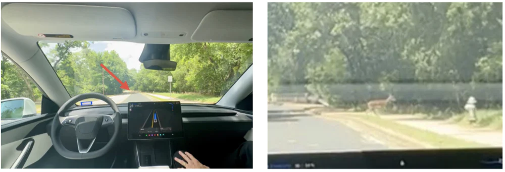 特斯拉Robotaxi首秀翻车：逆行急刹吓哭网友