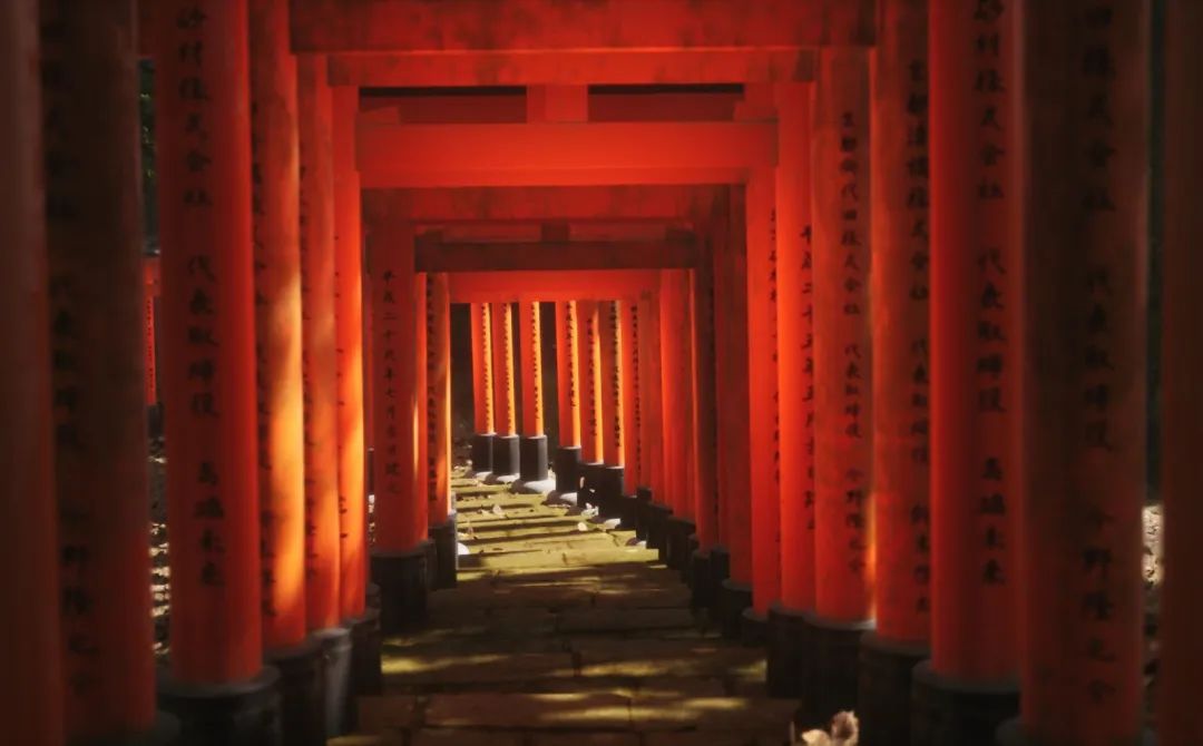 为了重现照片中的世界，他制作了一款最逼真的摄影游戏