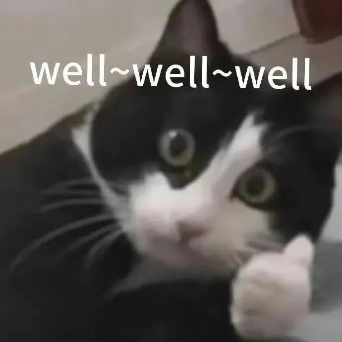 苹果开发者自曝用Claude完成95%开发，开发应用已上架