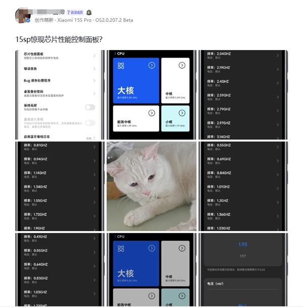 玄戒O1专属！小米15S Pro上线芯片性能面板：可手动调节频率、电压