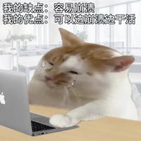 Win 11升级这个劫：我是非渡不可吗