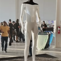 曝特斯拉Gen3机器人明年入华量产：普通人也能买