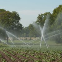 英国政府建议民众删除旧的电子文档以节约用水