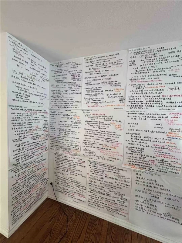 辍学的00后 正在扎堆改变世界