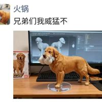 豆包P图大更新 网友们已经玩嗨了！