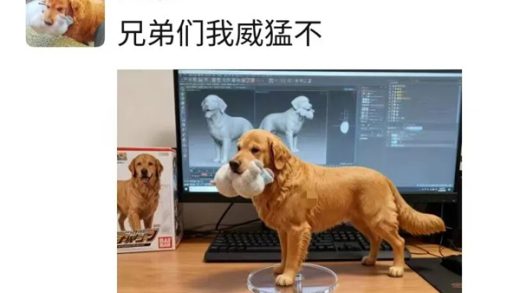 豆包P图大更新 网友们已经玩嗨了！