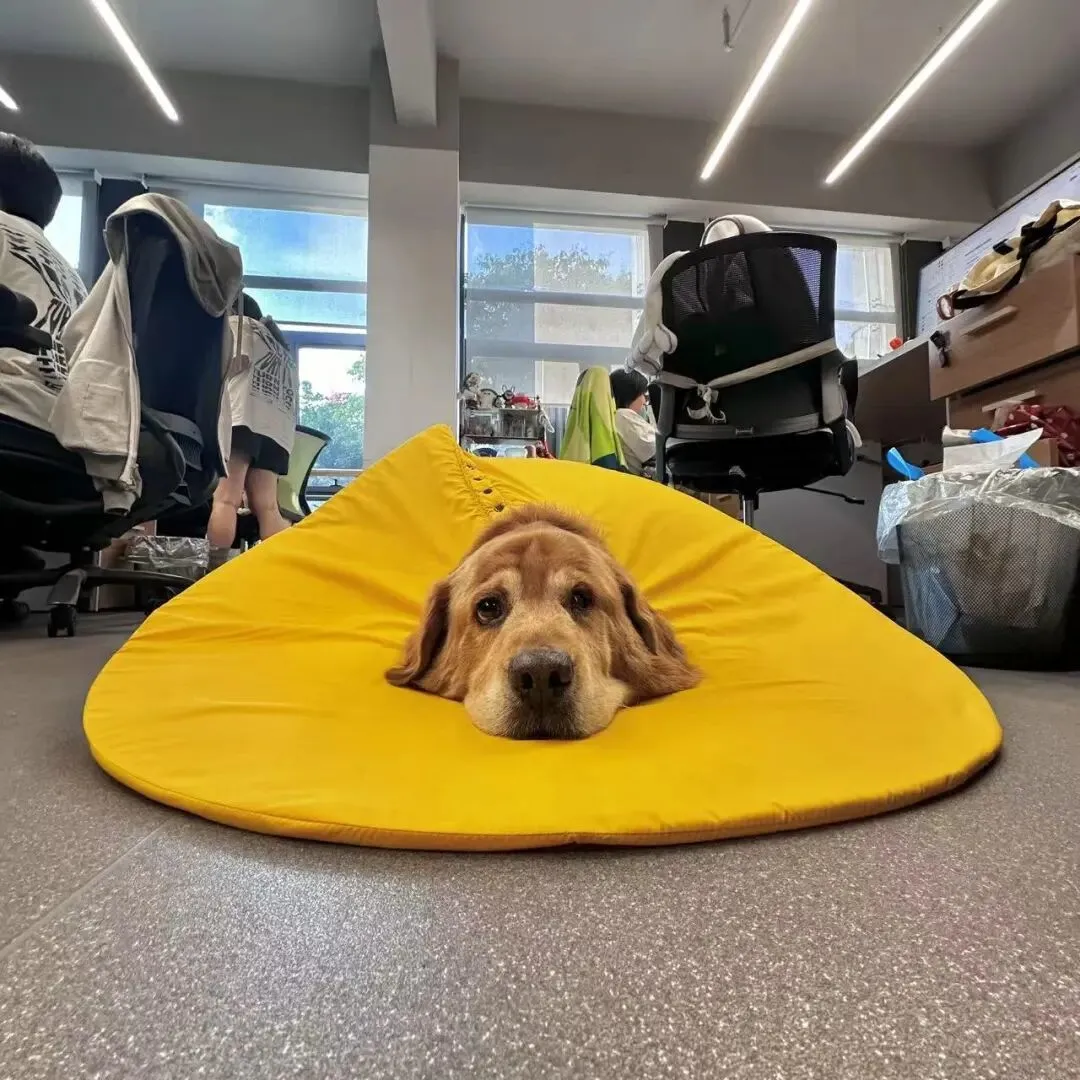 大模型产生幻觉，全怪人类PUA吗？