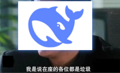 DeepSeek昨天开源的新模型 有点邪门