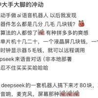 AI陪伴还是2025年最热的赛道吗？