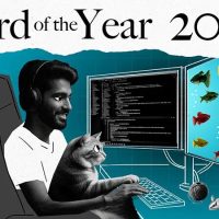 第一波2025年度词汇出炉，一半毫无悬念，一半完全懵