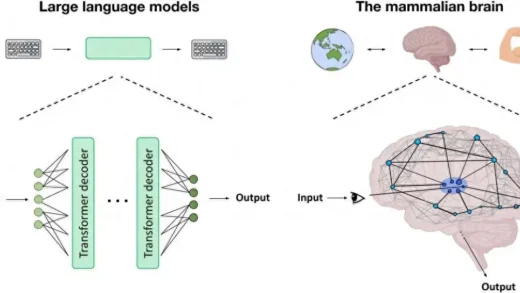 人工智能是否很快就会有意识？专家认为语言模型与人脑差异极大
