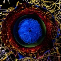 天文学家通过超级计算机破解超新星的秘密