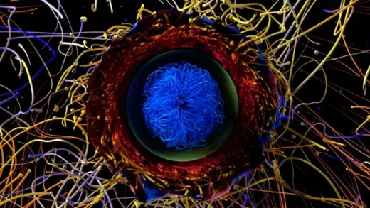 天文学家通过超级计算机破解超新星的秘密