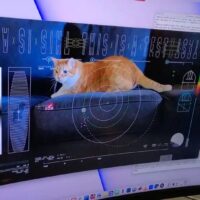 NASA 用激光把可爱猫咪视频从 3100 万公里外深空传回地球，仅用时 101 秒