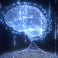 室温下像人脑一样思考，AI 晶体管问世：可同时处理和存储信息