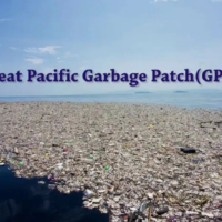 科学家早就发现了吃塑料的虫子，为什么至今没有推广开来？