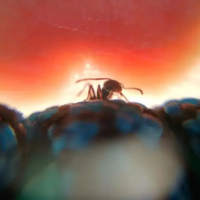 普通场景拍腻了，不如试试“小景”摄影