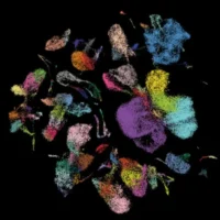 Nature发布2024年值得关注的七大技术 中国科学家成果首次入选