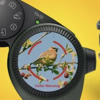 利用 AI 实时识别 9000 种鸟类，施华洛世奇 Optik AX Visio 望远镜亮相 CES 2024