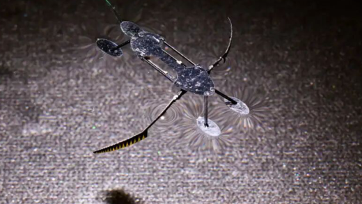 科学家制成迄今最轻快全功能机器人：以昆虫为模型，轻至 8 毫克