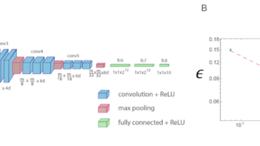 大脑浅层学习机制研究：人脑如何与人工智能竞争？
