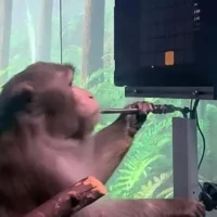 马斯克的＂读脑＂设备首次植入人体 科学家期待什么？担忧什么？