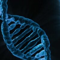 首个 DNA 数据存储规范发布，为后续商业化铺平道路