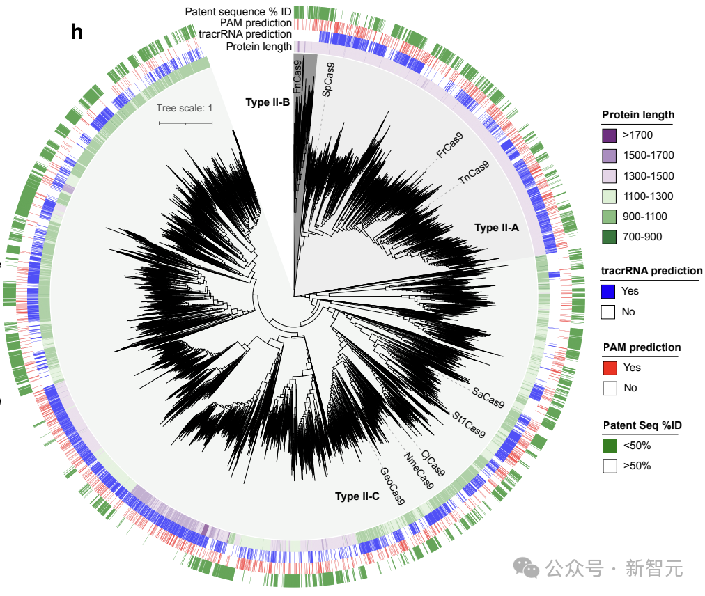 AI 成功改写人类 DNA:全球首个基因编辑器开源,近 5 倍蛋白质宇宙 LLM 全生成