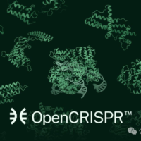 AI 成功改写人类 DNA：全球首个基因编辑器开源，近 5 倍蛋白质宇宙 LLM 全生成