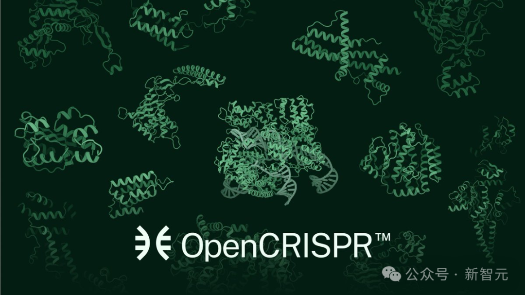 AI 成功改写人类 DNA:全球首个基因编辑器开源,近 5 倍蛋白质宇宙 LLM 全生成