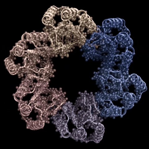 AI 成功改写人类 DNA:全球首个基因编辑器开源,近 5 倍蛋白质宇宙 LLM 全生成