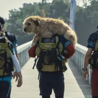 电影推荐：冠军亚瑟