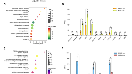 复旦团队重大突破登 Cell：破纪录复活冰封 18 个月人脑，《三体》云天明计划成真？