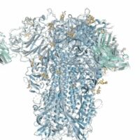AI 预测所有生命分子，谷歌 AlphaFold 3 模型登 Nature：欲颠覆生物学