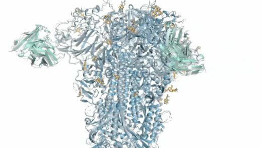 AI 预测所有生命分子，谷歌 AlphaFold 3 模型登 Nature：欲颠覆生物学