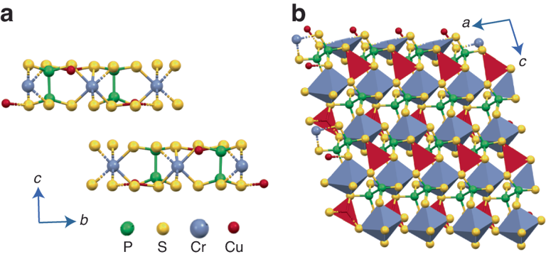 41377_2024_1432_Fig1_HTML.png 41377_2024_1432_Fig1_HTML.png