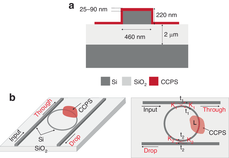 41377_2024_1432_Fig4_HTML.png 41377_2024_1432_Fig4_HTML.png