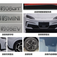 比亚迪纯电小钢炮！海豹X实车亮相：最大马力421匹