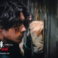 电影推荐：九龙城寨之围城