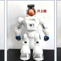 全球首个“人脑”控制机器人，天津大学新成果登上顶刊《Brain》